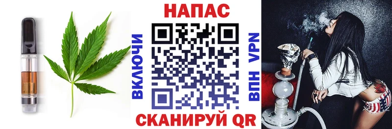 Canna-Cookies марихуана  Сланцы 