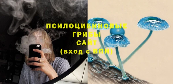 эйфоретик Беломорск