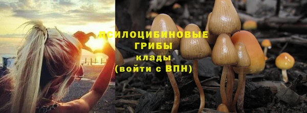 эйфоретик Беломорск