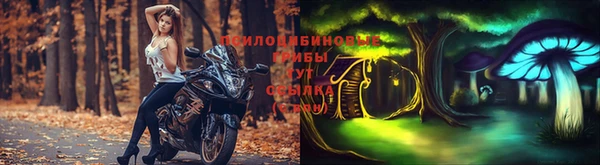 твердый Белокуриха