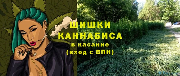 твердый Белокуриха