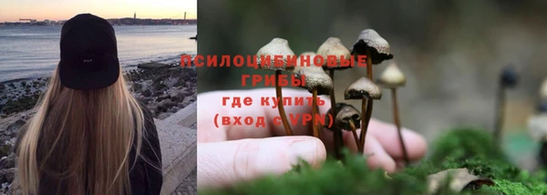 эйфоретик Беломорск