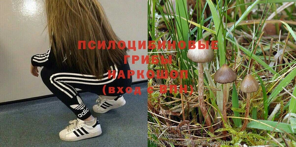 ГАЛЛЮЦИНОГЕННЫЕ ГРИБЫ Богородицк