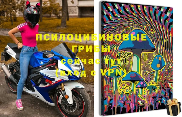 твердый Белокуриха