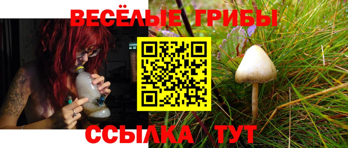 Галлюциногенные грибы мицелий Сланцы