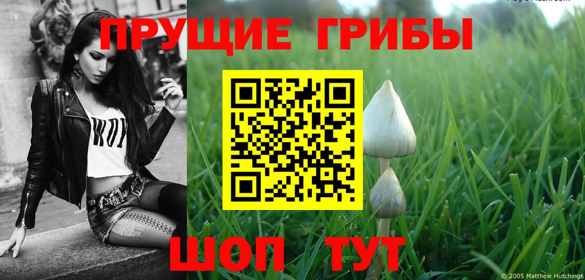 Сланцы  где найти   Вход с VPN  Галлюциногенные грибы прущие грибы 